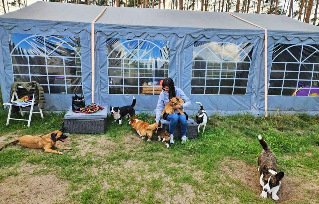 szkolenie psów starogard gdański