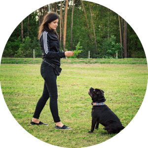 Psia Asia. Szkolenie psów. Szkoła dla psów. Trener Psów. Behawiorysta psów. Poznań. Kórnik. Śrem. Mosina. Swarzędz. Borówiec.